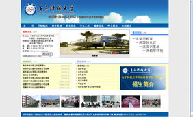 網(wǎng)站建設(shè)需求分析與實(shí)施指南