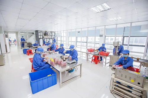 全網(wǎng)絡推廣助力食品OEM定制客戶開發(fā)與業(yè)績增長