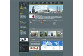 沈陽網(wǎng)站建設案例 以專業(yè)設計賦能本地服務行業(yè)數(shù)字化轉型